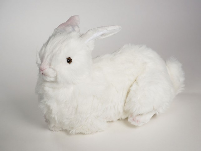 Rabbit 0631 by Piutrè