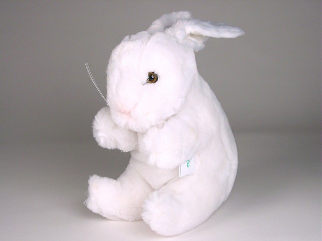 Rabbit 0708 by Piutrè