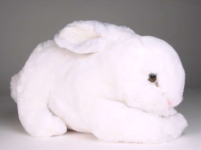 Rabbit 0709 by Piutrè