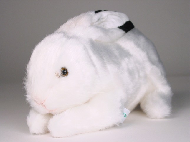 Rabbit 0710 by Piutrè