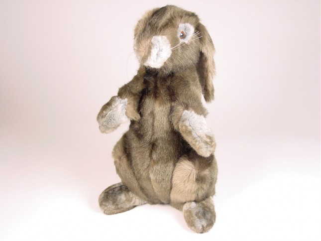 Rabbit 0720 by Piutrè