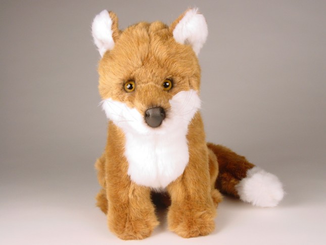 Red Fox Cub 2699 by Piutrè