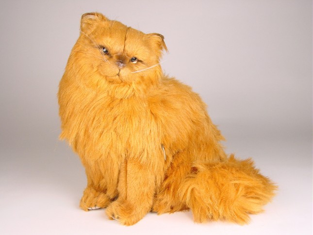 Red Persian Cat 2455 by Piutrè