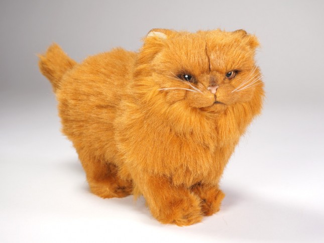 Red Persian Kitten 2453 by Piutrè