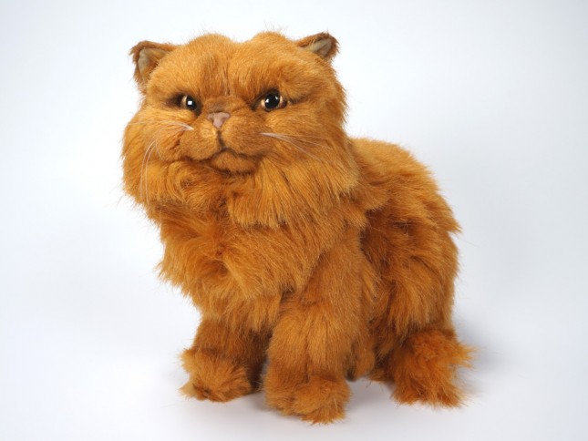 Red Persian Kitten 2454 by Piutrè