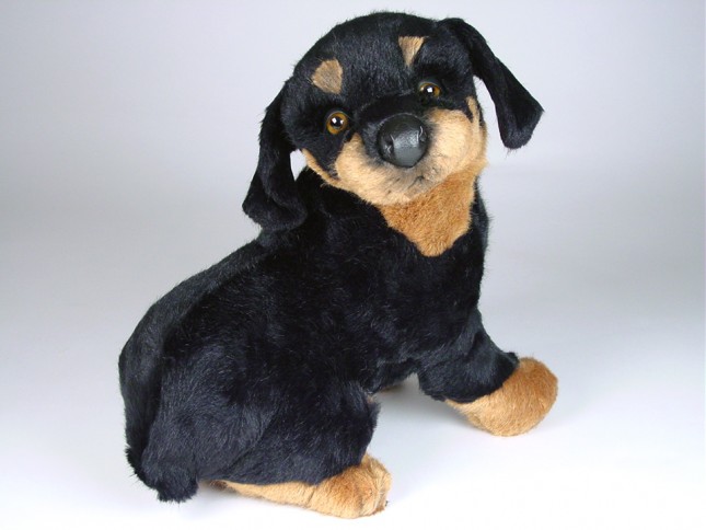 Rottweiler Puppy 2259 by Piutrè 