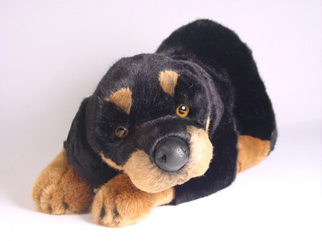 Rottweiler Puppy 2260 by Piutrè 