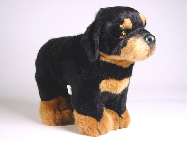 Rottweiler Puppy 3308 by Piutrè 