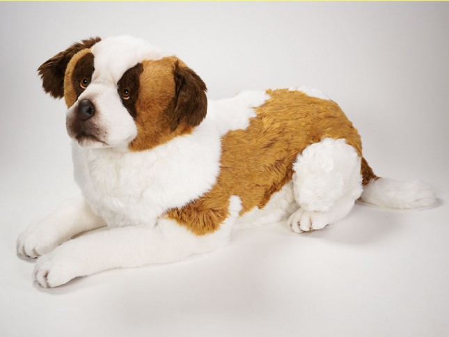 Saint Bernard 3227 by Piutrè 