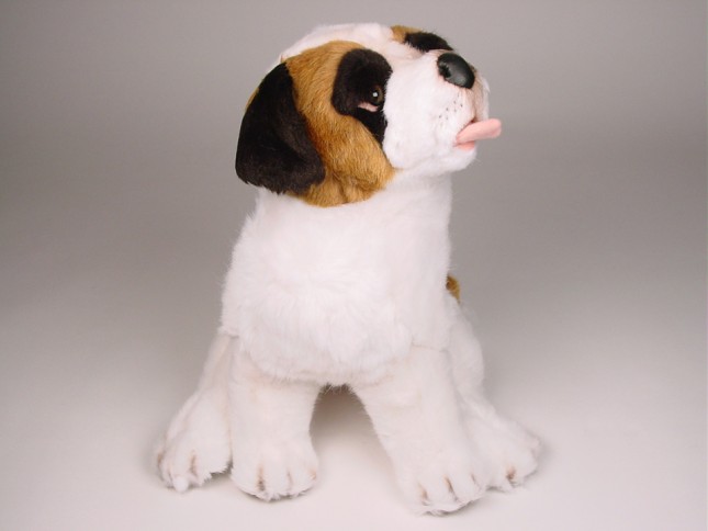 Saint Bernard Puppy 2295 by Piutrè