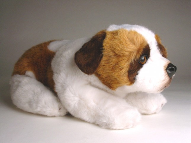 Saint Bernard Puppy 2297 by Piutrè 