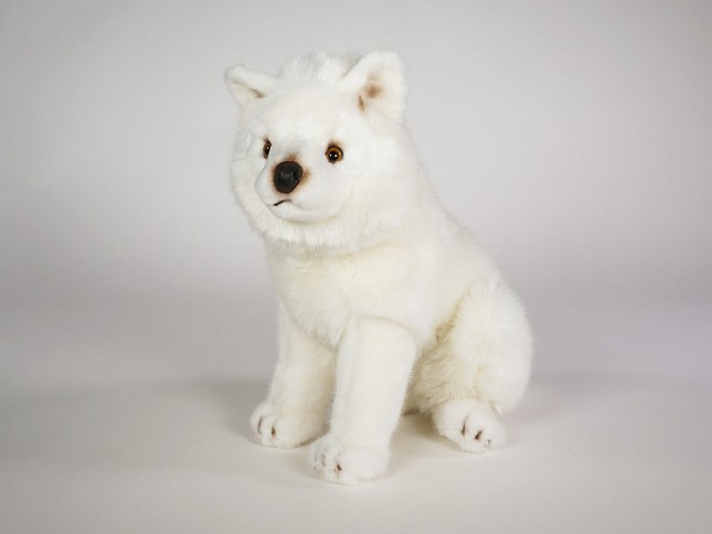 Samoyed Puppy 3259 by Piutrè 