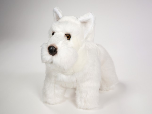 Scottish Terrier 0261 by Piutrè 