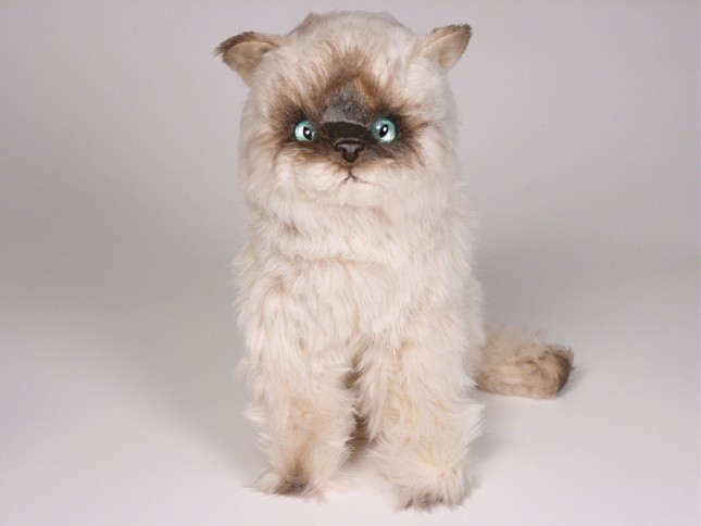 ​Seal Point Himalayan Cat 2366 by Piutrè 