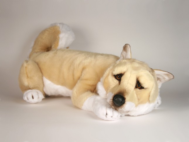 Shiba Inu 1247 by Piutrè 