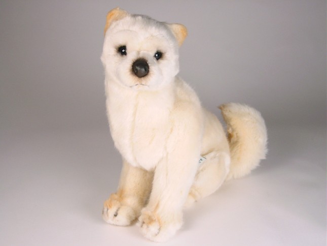 Shiba Inu Puppy 3368 by Piutrè 