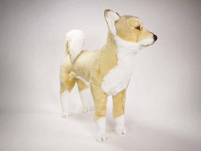 Shiba Inu 1246 by Piutrè 