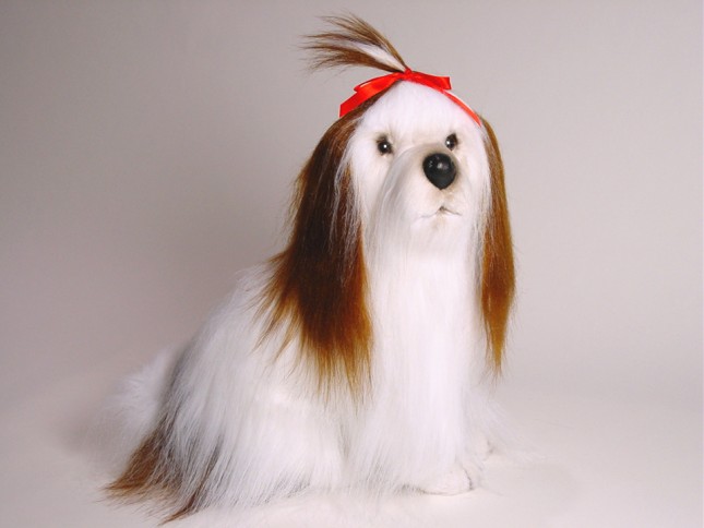 Shih Tzu 3272 by Piutrè 