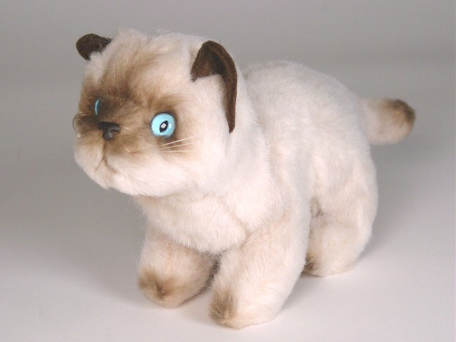 Siamese Kitten 2446 by Piutrè 