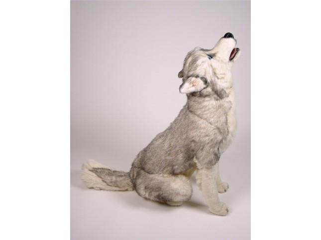 Siberian Husky 3330 by Piutrè 