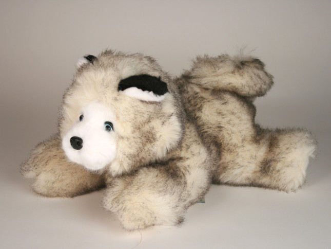 Siberian Husky Puppy (Morbidone) 2610 by Piutrè 