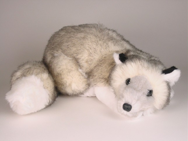 Silver Fox Cub 2660 by Piutrè 