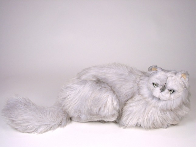Silver Persian Cat 2423 by Piutrè 