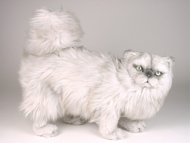 Silver Persian Cat 2436 by Piutrè 