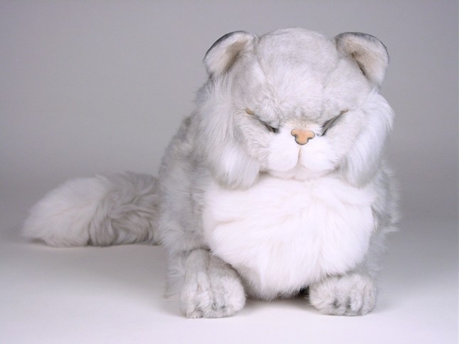 Silver Persian Cat 2437 by Piutrè 