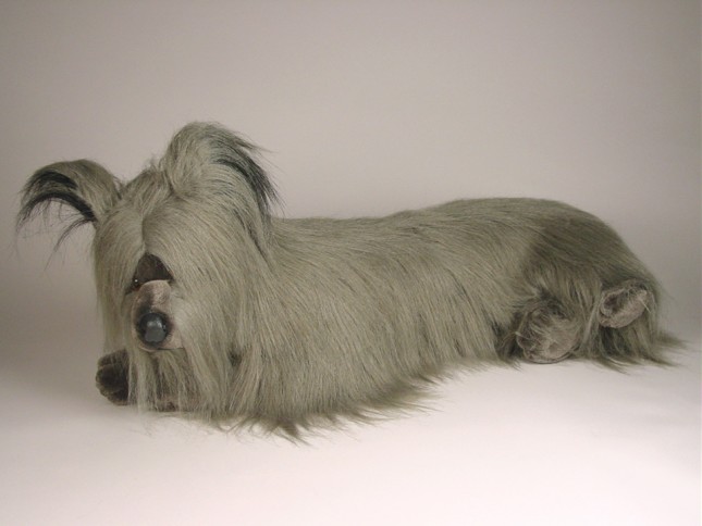 Skye Terrier 1267 by Piutrè