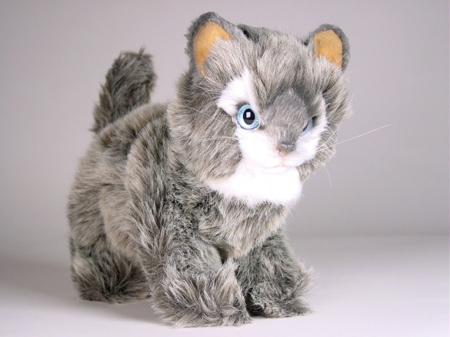 Soriano Kitten 0320 by Piutrè