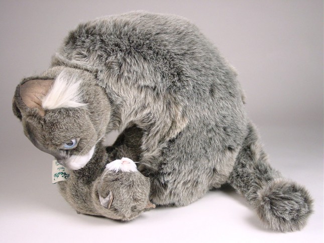 Soriano Cat with Kitten 0318 by Piutrè 