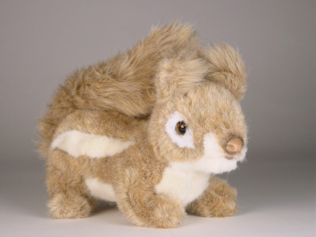 ​Squirrel 2638 by Piutrè