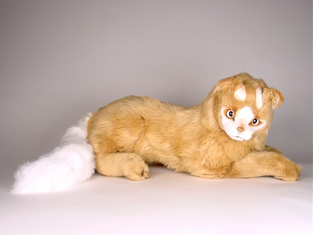 Turkish Van Cat 0327 by Piutrè