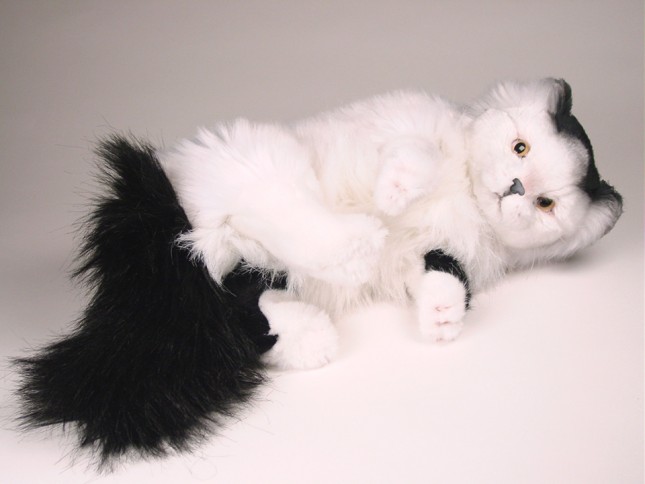 Turkish Van Cat 0330 by Piutrè 