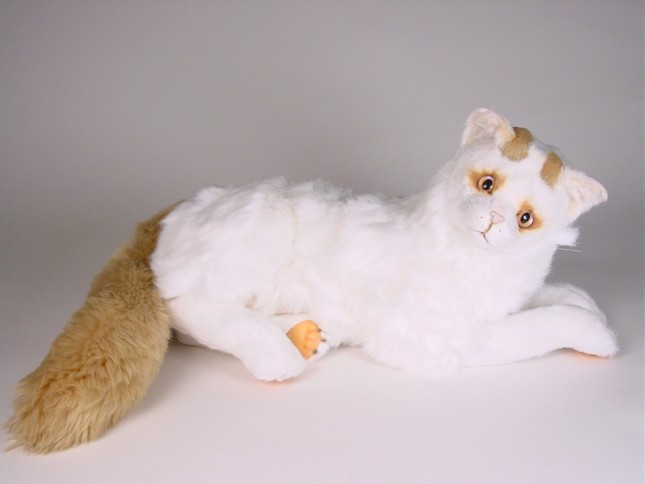 Turkish Van Cat 2317 by Piutrè
