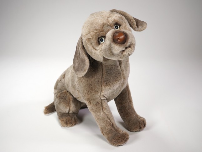 Weimaraner Puppy 3353 by Piutrè