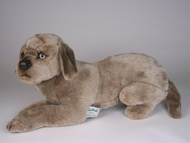 Weimaraner Puppy 3354 by Piutrè