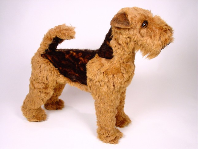 Welsh Terrier 1235 by Piutrè