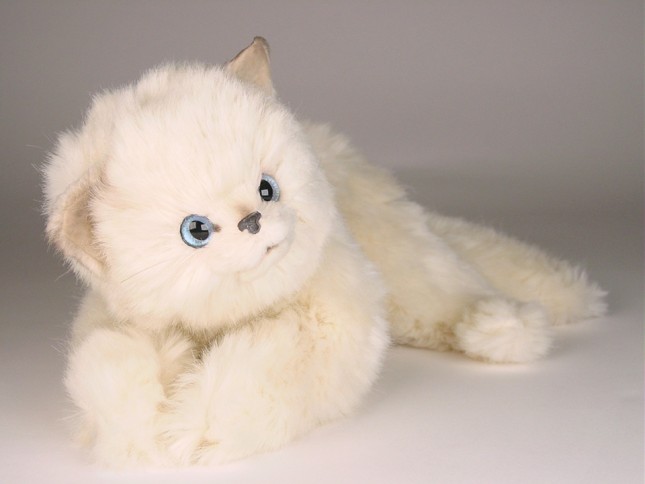 White Kitten 2441 by Piutrè