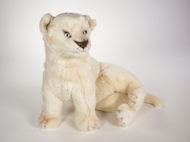 White Lion Cub 2540 by Piutrè 