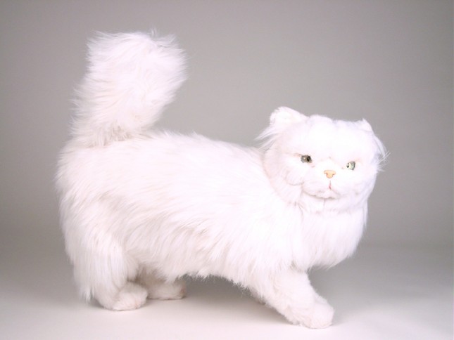 White Persian Cat 2386 by Piutrè 