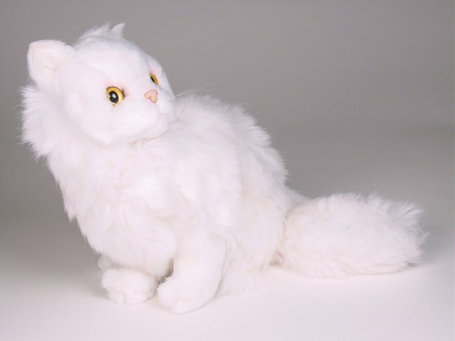 White Persian Kitten 0314 by Piutrè