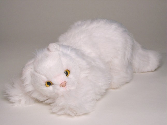 White Persian Kitten 0315 by Piutrè