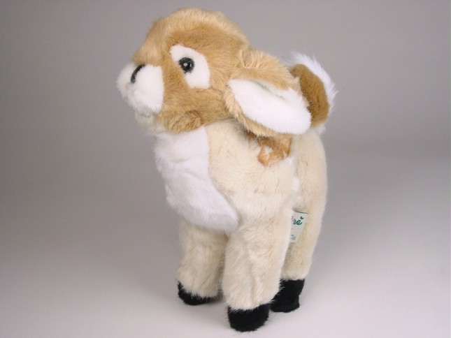 White-Tailed Deer Fawn 4831 by Piutrè