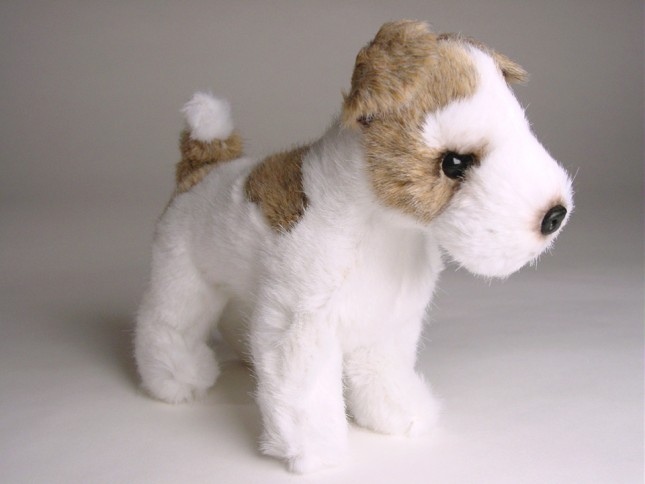 Wire Fox Terrier (Miniature) 4285 by Piutrè 