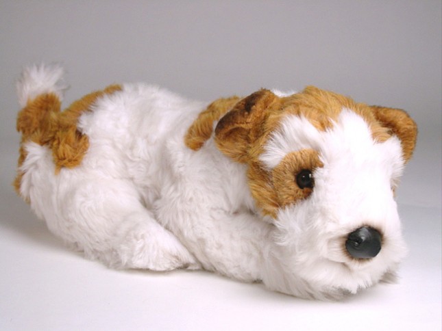 Wire Fox Terrier Puppy 3277 by Piutrè 