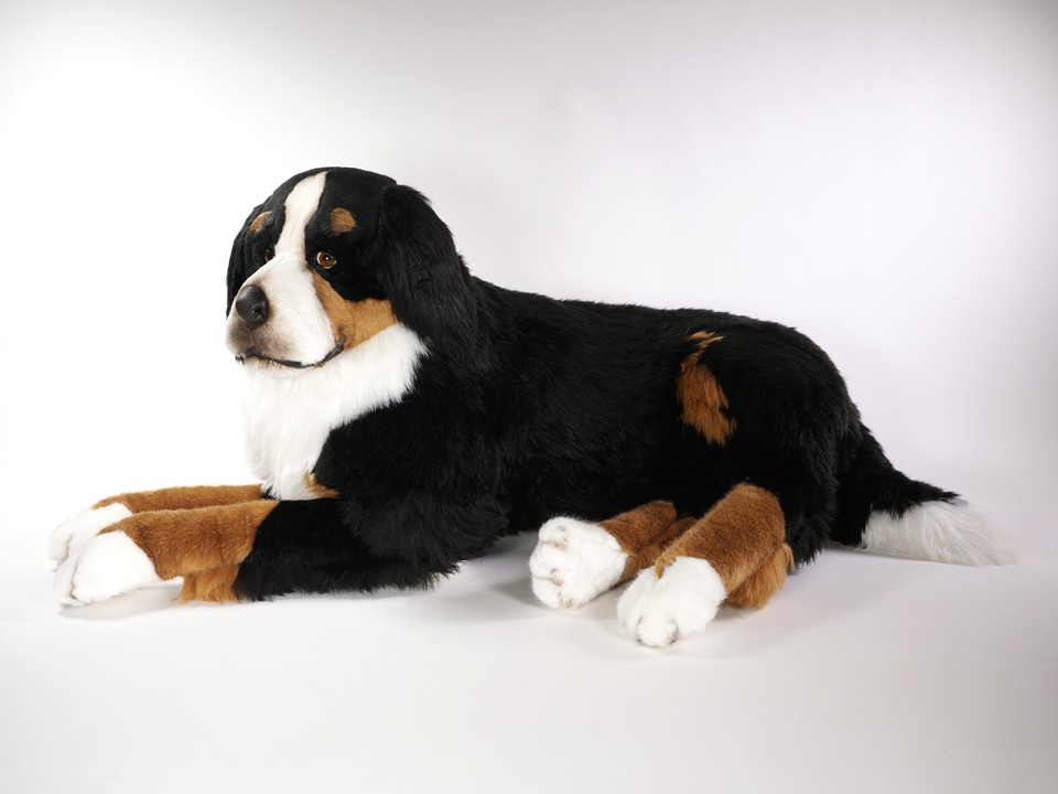 bernese stuffed animal