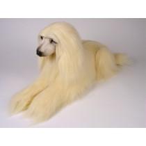 Afghan Hound 0292 by Piutrè