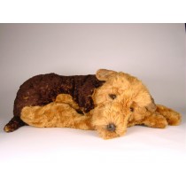 Airedale Terrier 2230 by Piutrè